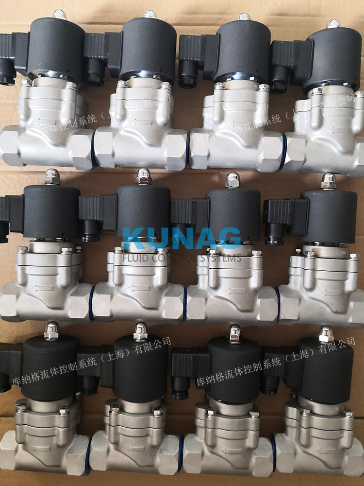 聚四氟乙烯 臭氧电磁阀 两通电磁阀 不锈钢