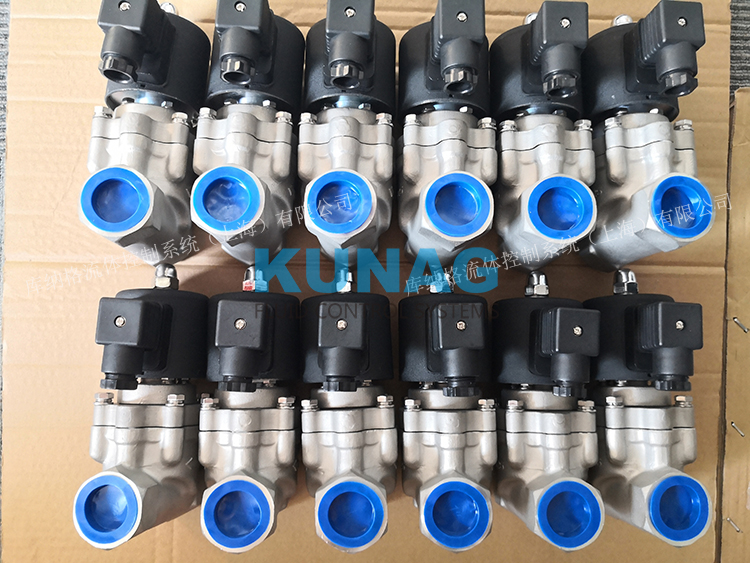 聚四氟乙烯 臭氧电磁阀 两通电磁阀 不锈钢